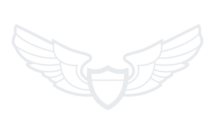 Arise Aviation Graphic